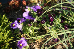 IMG_4643_ergebnis