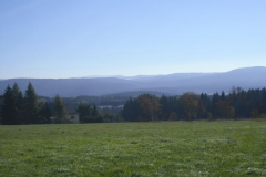 CIMG0338