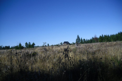 CIMG0345